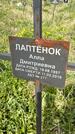 Захоронение ID 1360201