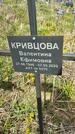 Захоронение ID 1360247