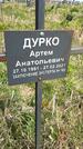 Захоронение ID 1360284