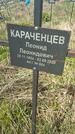 Захоронение ID 1360344