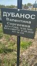 Захоронение ID 1360355