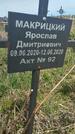 Захоронение ID 1360383
