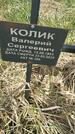 Захоронение ID 1360436