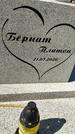 Захоронение ID 1360554