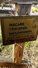 Захоронение ID 1360606