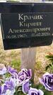 Захоронение ID 1360807
