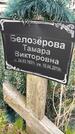 Захоронение ID 1362518