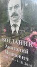 Захоронение ID 1365444