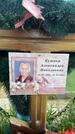 Захоронение ID 1366338