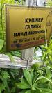 Захоронение ID 1371205