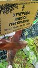 Захоронение ID 1371371
