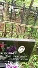 Захоронение ID 2005443