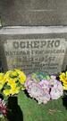 Захоронение ID 3563055