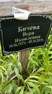 Захоронение ID 3563297