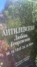 Захоронение ID 3563381