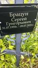 Захоронение ID 3563409