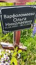 Захоронение ID 3563444