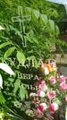 Захоронение ID 3563908
