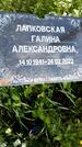 Захоронение ID 3564180