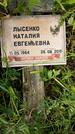Захоронение ID 3564203