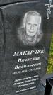 Захоронение ID 3564274