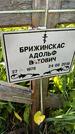 Захоронение ID 3564715