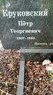 Захоронение ID 3564924
