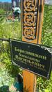 Захоронение ID 3565193