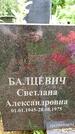 Захоронение ID 3566358