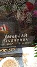 Захоронение ID 3566378