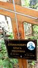 Захоронение ID 3566437