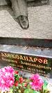 Захоронение ID 3566525