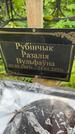 Захоронение ID 3567017