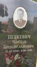 Захоронение ID 3567471