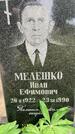 Захоронение ID 3567562