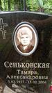 Захоронение ID 3567971