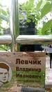 Захоронение ID 3568004