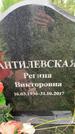 Захоронение ID 3569006