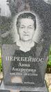 Захоронение ID 3569017