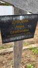 Захоронение ID 3569164
