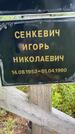 Захоронение ID 3569265