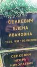Захоронение ID 3569298