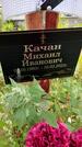 Захоронение ID 3569430