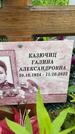 Захоронение ID 3570295