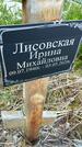 Захоронение ID 3572002