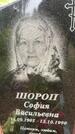 Захоронение ID 3572270