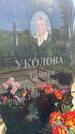 Захоронение ID 3572382