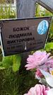 Захоронение ID 3572424