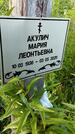 Захоронение ID 3572491