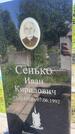 Захоронение ID 3572708